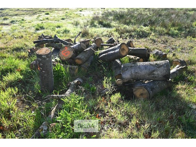 Partij brandhout - afbeelding 3 van  4