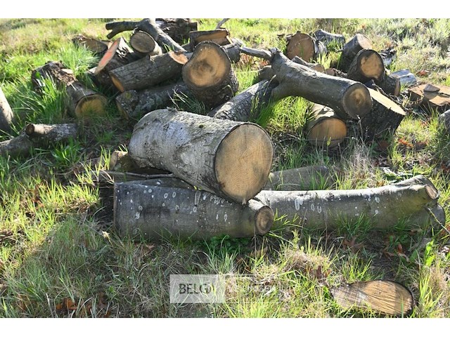 Partij brandhout - afbeelding 4 van  4