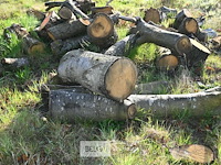 Partij brandhout - afbeelding 4 van  4