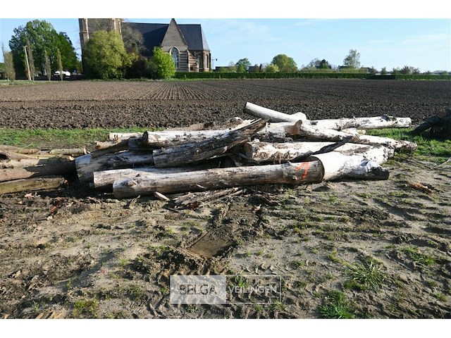 Partij brandhout - afbeelding 1 van  4