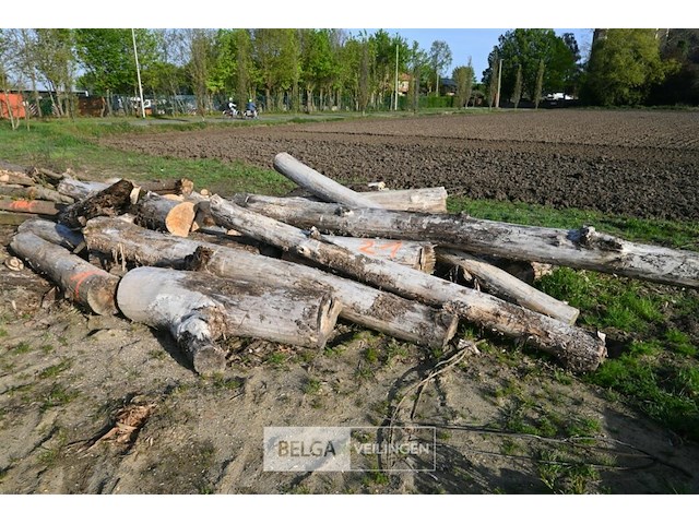 Partij brandhout - afbeelding 2 van  4