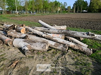 Partij brandhout - afbeelding 2 van  4