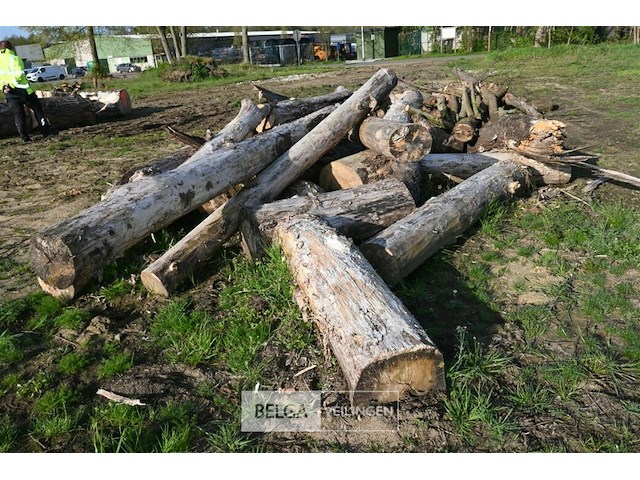 Partij brandhout - afbeelding 3 van  4