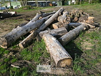 Partij brandhout - afbeelding 3 van  4