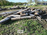 Partij brandhout - afbeelding 4 van  4