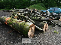 Partij brandhout