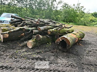 Partij brandhout - afbeelding 3 van  5