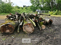 Partij brandhout - afbeelding 4 van  5