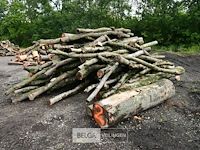 Partij brandhout