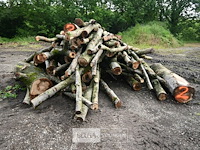 Partij brandhout - afbeelding 2 van  5
