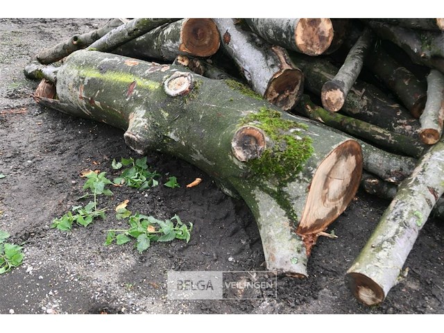 Partij brandhout - afbeelding 3 van  5