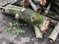 Partij brandhout - afbeelding 3 van  5