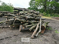Partij brandhout - afbeelding 4 van  5