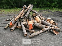 Partij brandhout