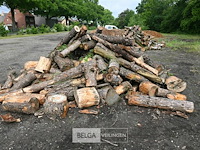 Partij brandhout - afbeelding 3 van  5