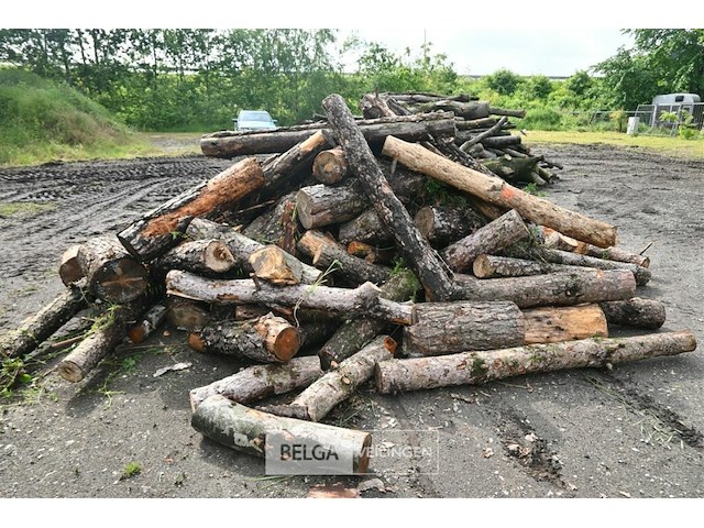 Partij brandhout - afbeelding 5 van  5