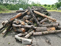 Partij brandhout - afbeelding 5 van  5