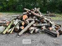 Partij brandhout