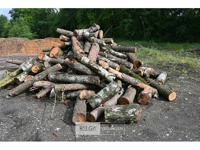 Partij brandhout - afbeelding 2 van  6