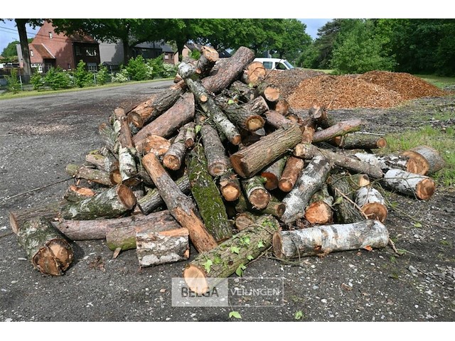 Partij brandhout - afbeelding 3 van  6