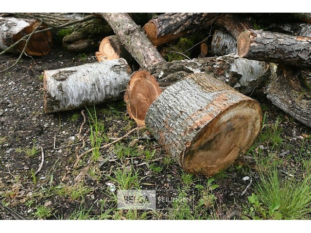 Partij brandhout - afbeelding 6 van  6