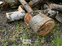 Partij brandhout - afbeelding 6 van  6