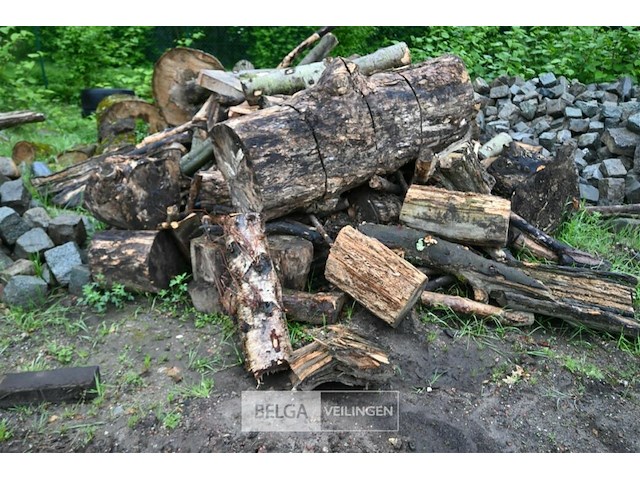 Partij brandhout - afbeelding 2 van  9