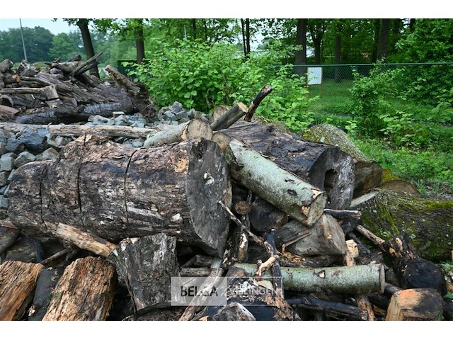 Partij brandhout - afbeelding 3 van  9