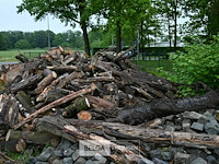 Partij brandhout - afbeelding 4 van  9