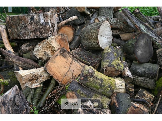 Partij brandhout - afbeelding 5 van  9