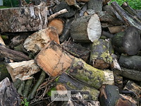 Partij brandhout - afbeelding 5 van  9