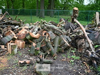 Partij brandhout - afbeelding 6 van  9