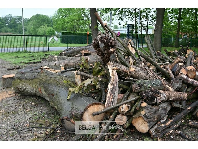 Partij brandhout - afbeelding 7 van  9