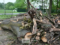 Partij brandhout - afbeelding 7 van  9