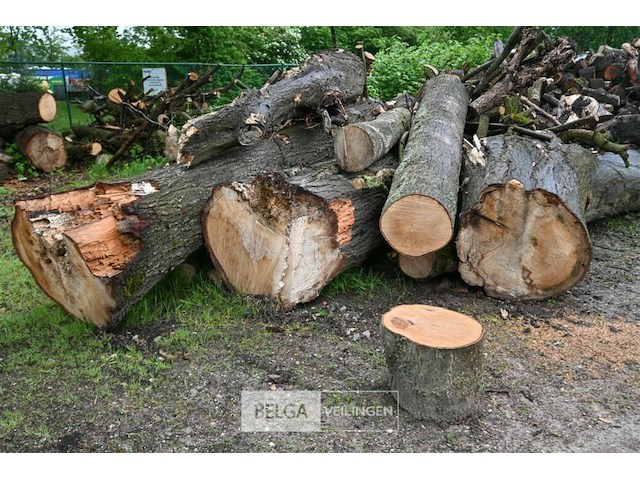 Partij brandhout - afbeelding 8 van  9