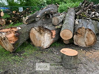 Partij brandhout - afbeelding 8 van  9