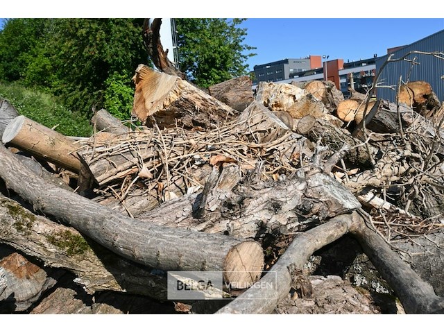 Partij brandhout - afbeelding 4 van  6