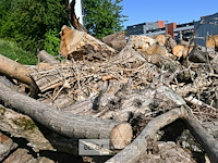 Partij brandhout - afbeelding 4 van  6