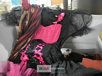 Partij carnavalkledij en toebehoren - afbeelding 3 van  8