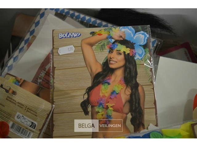 Partij carnavalkledij en toebehoren - afbeelding 5 van  8