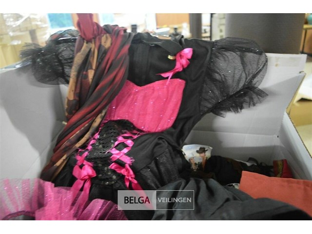 Partij carnavalkledij en toebehoren - afbeelding 3 van  8