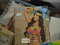 Partij carnavalkledij en toebehoren - afbeelding 5 van  8