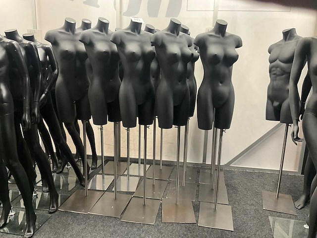 Partij damespaspoppen/bustes (15x) - afbeelding 1 van  5