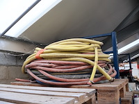 Partij darmen - afbeelding 6 van  6