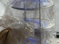 Partij deco materialen met kaarsen - afbeelding 4 van  6