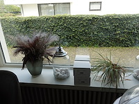 Partij decoratie - afbeelding 20 van  22