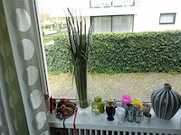 Partij decoratie - afbeelding 22 van  22