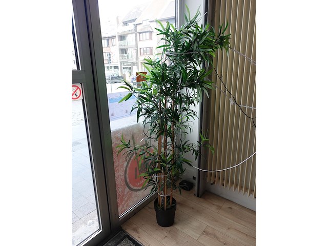 Partij decoratie - afbeelding 2 van  4