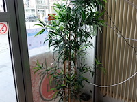 Partij decoratie - afbeelding 2 van  4