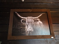 Partij decoratie - afbeelding 8 van  29